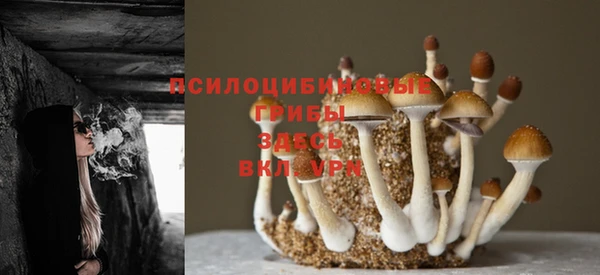 a pvp Зеленодольск