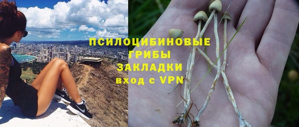 a pvp Зеленодольск